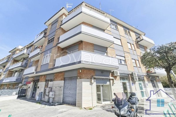 negozio in vendita a Ciampino