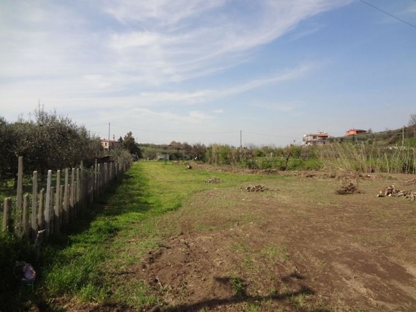 terreno agricolo in vendita a Ciampino