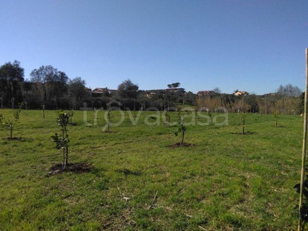 terreno agricolo in vendita a Ciampino in zona Acqua Sotterra