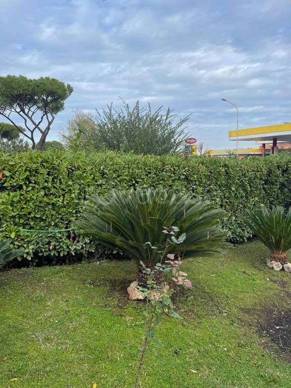 appartamento in vendita a Ciampino