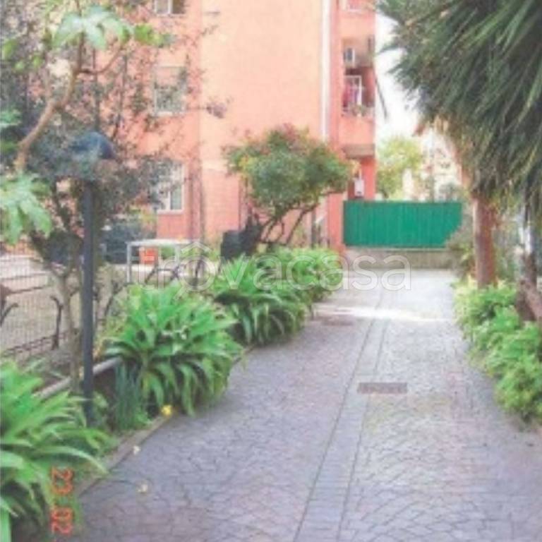 appartamento in vendita a Ciampino