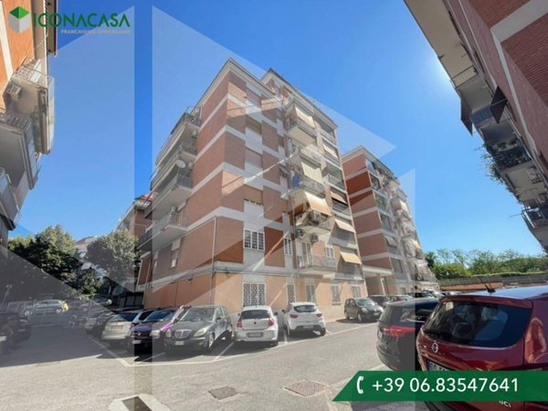 appartamento in vendita a Ciampino