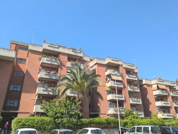 appartamento in vendita a Ciampino