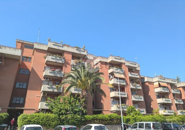 appartamento in vendita a Ciampino