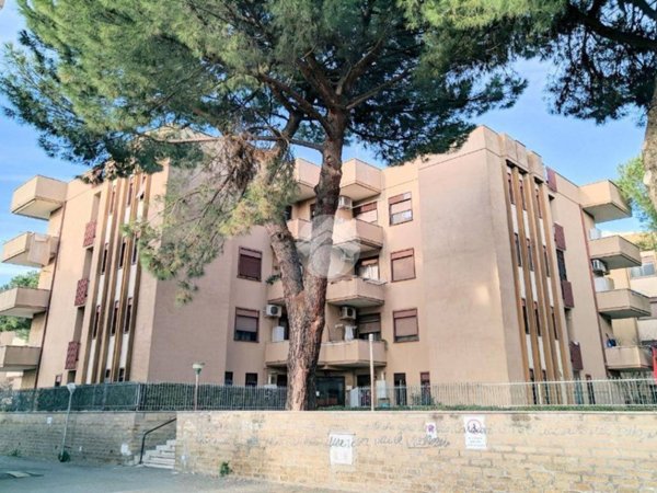 appartamento in vendita a Ciampino
