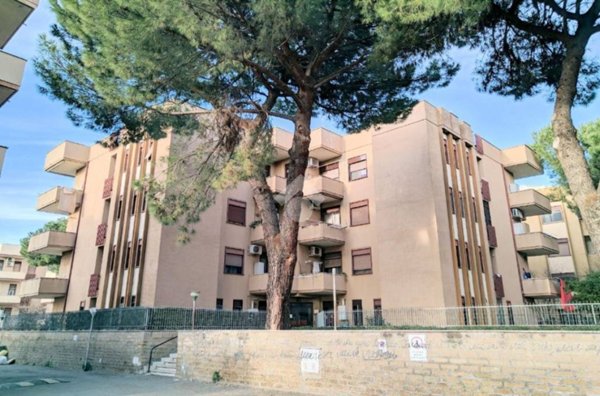 appartamento in vendita a Ciampino