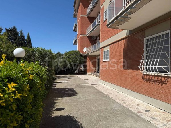 appartamento in vendita a Ciampino