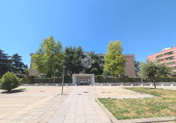 appartamento in vendita a Ciampino