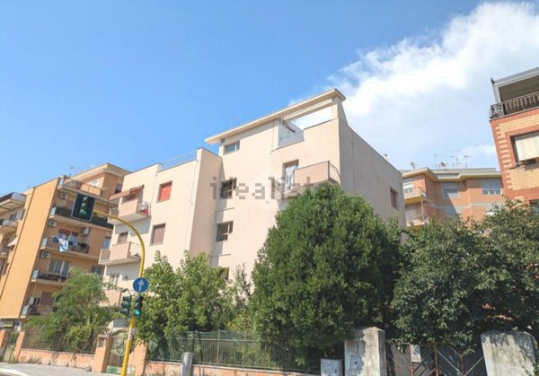 appartamento in vendita a Ciampino