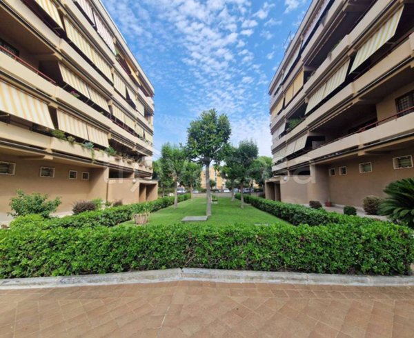 appartamento in vendita a Ciampino
