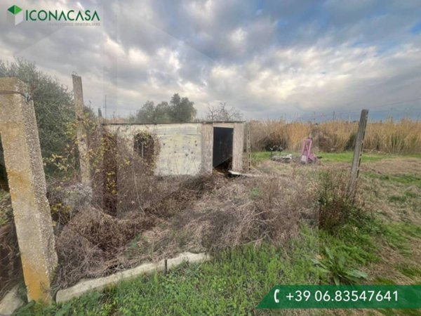 terreno agricolo in vendita a Ciampino