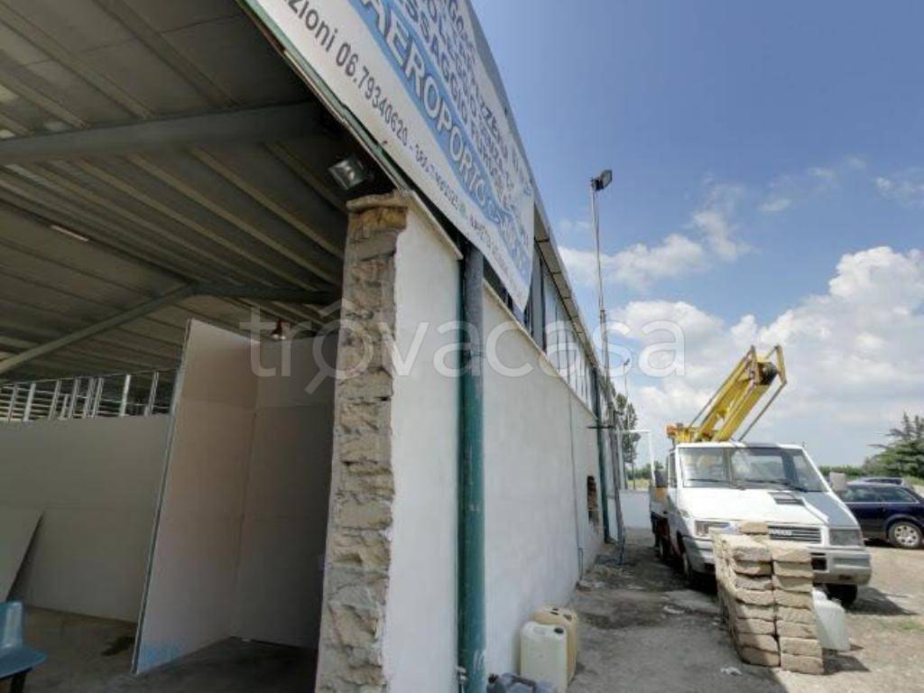 terreno agricolo in vendita a Ciampino