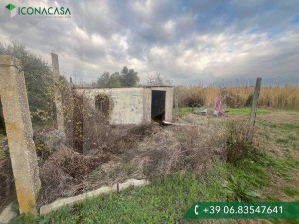 terreno agricolo in vendita a Ciampino