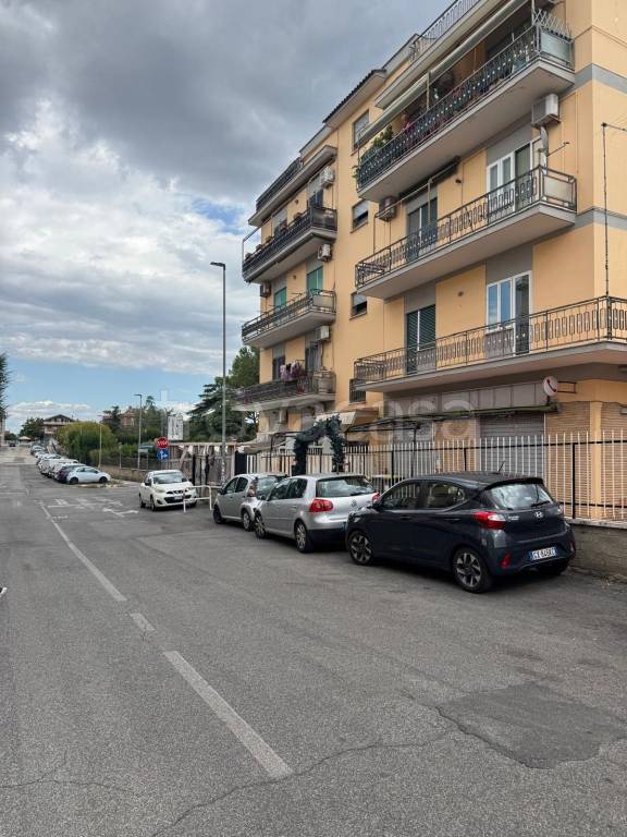 negozio in vendita a Ciampino