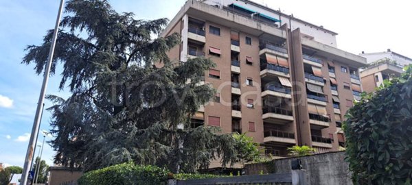 appartamento in vendita a Ciampino