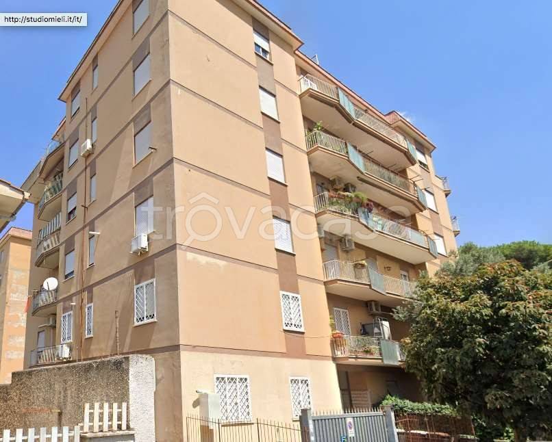 appartamento in vendita a Ciampino