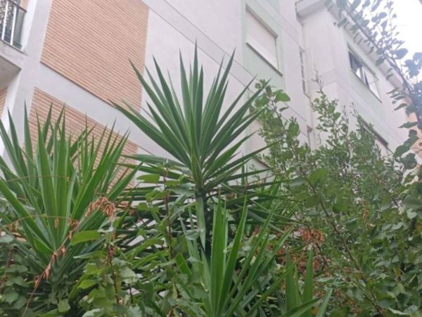 appartamento in vendita a Ciampino