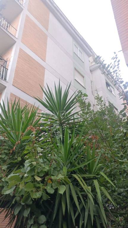 appartamento in vendita a Ciampino