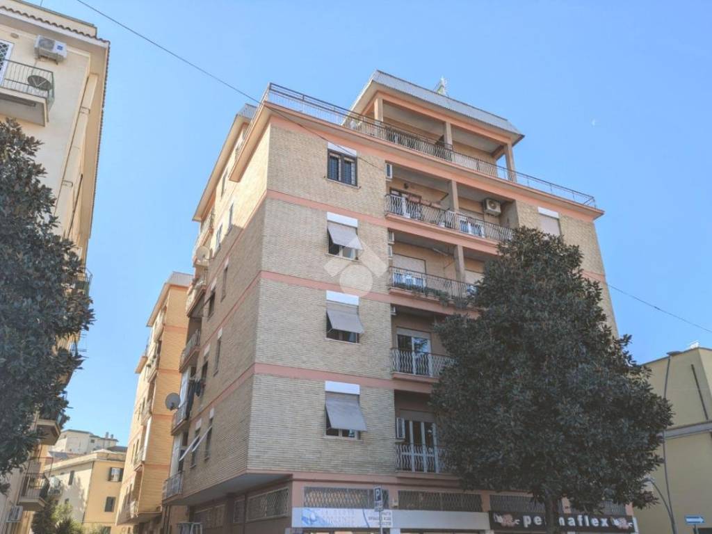 appartamento in vendita a Ciampino