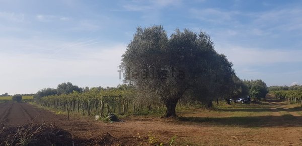 locale di sgombero in vendita a Ciampino