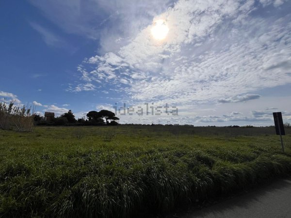 terreno edificabile in vendita a Ciampino