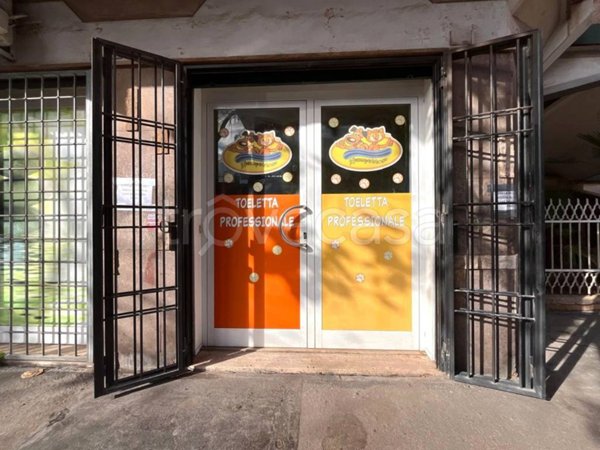 negozio in vendita a Ciampino