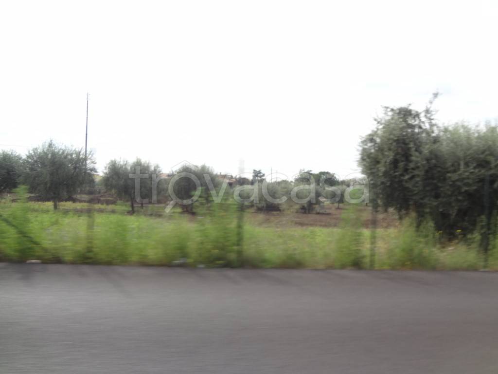 terreno edificabile in vendita a Ciampino