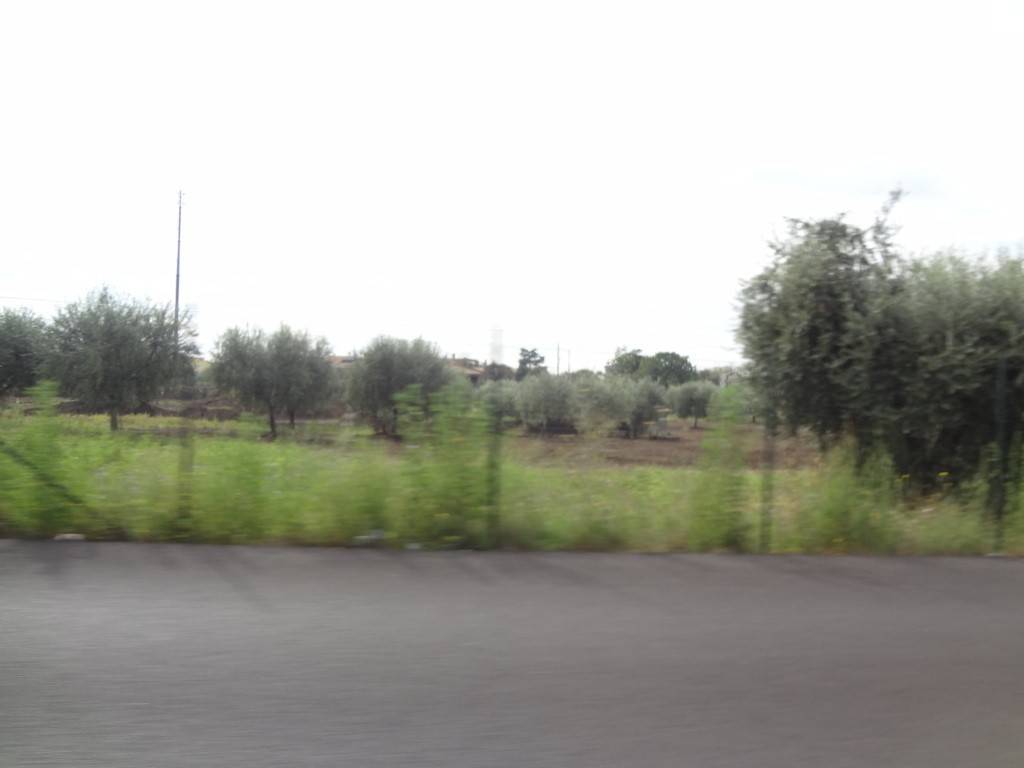 terreno edificabile in vendita a Ciampino