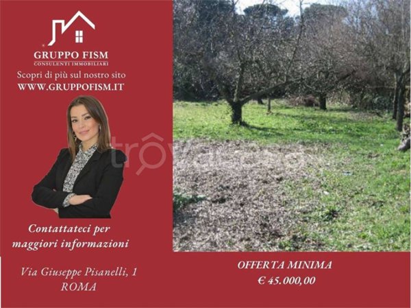 appartamento in vendita a Ciampino