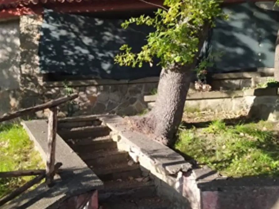 appartamento in vendita a Ciampino