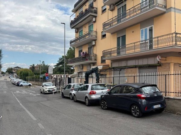 negozio in vendita a Ciampino