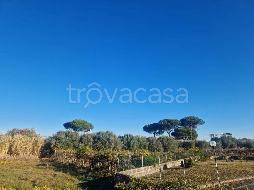 terreno agricolo in vendita a Ciampino