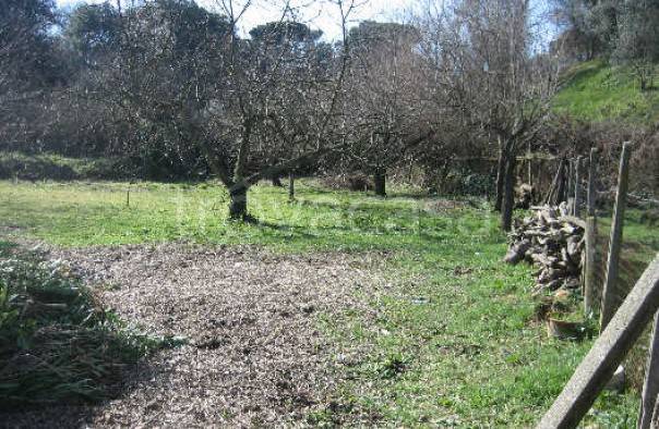 appartamento in vendita a Ciampino