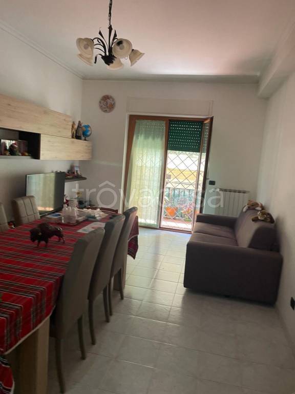 appartamento in vendita a Ciampino