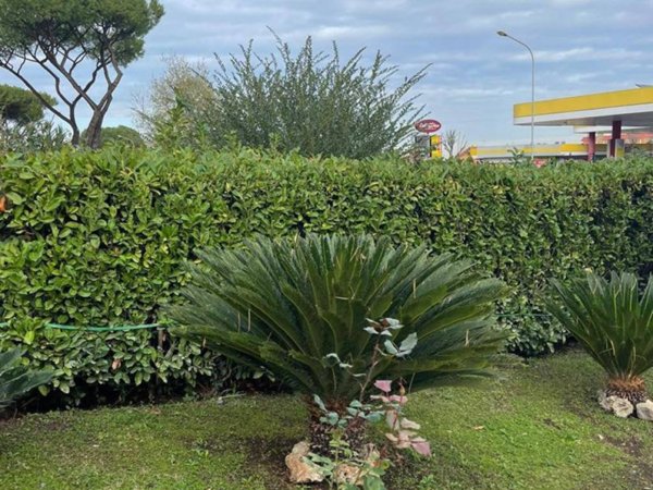 appartamento in vendita a Ciampino