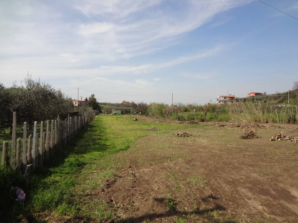 terreno agricolo in vendita a Ciampino