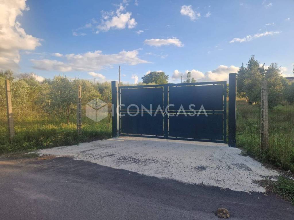 terreno agricolo in vendita a Ciampino