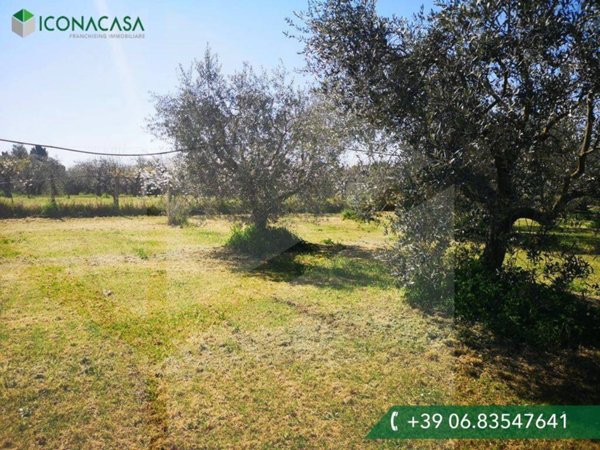 terreno agricolo in vendita a Ciampino in zona Acqua Sotterra