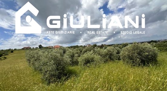 casa indipendente in vendita a Ciampino