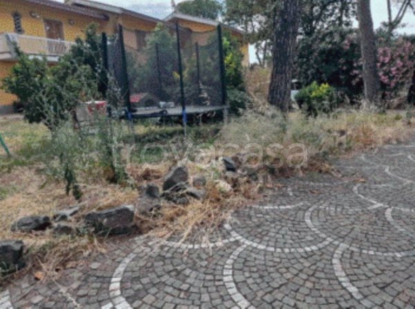 negozio in vendita a Ciampino