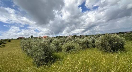 appartamento in vendita a Ciampino
