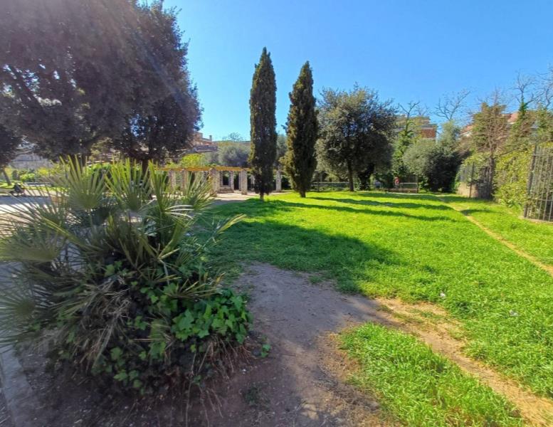 negozio in vendita a Ciampino