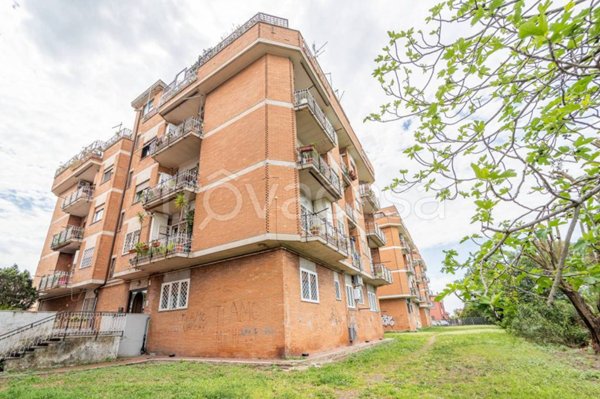 appartamento in vendita a Ciampino