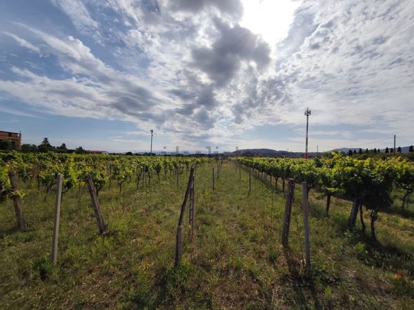 terreno edificabile in vendita a Ciampino