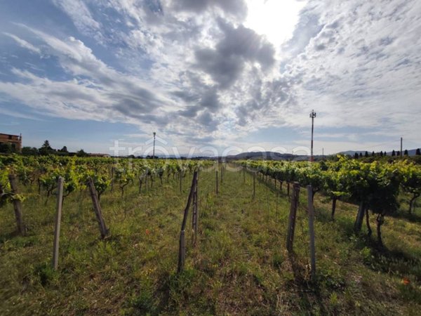 terreno agricolo in vendita a Ciampino