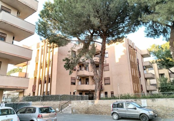 appartamento in vendita a Ciampino
