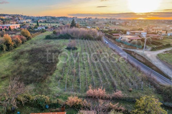 terreno agricolo in vendita a Ciampino