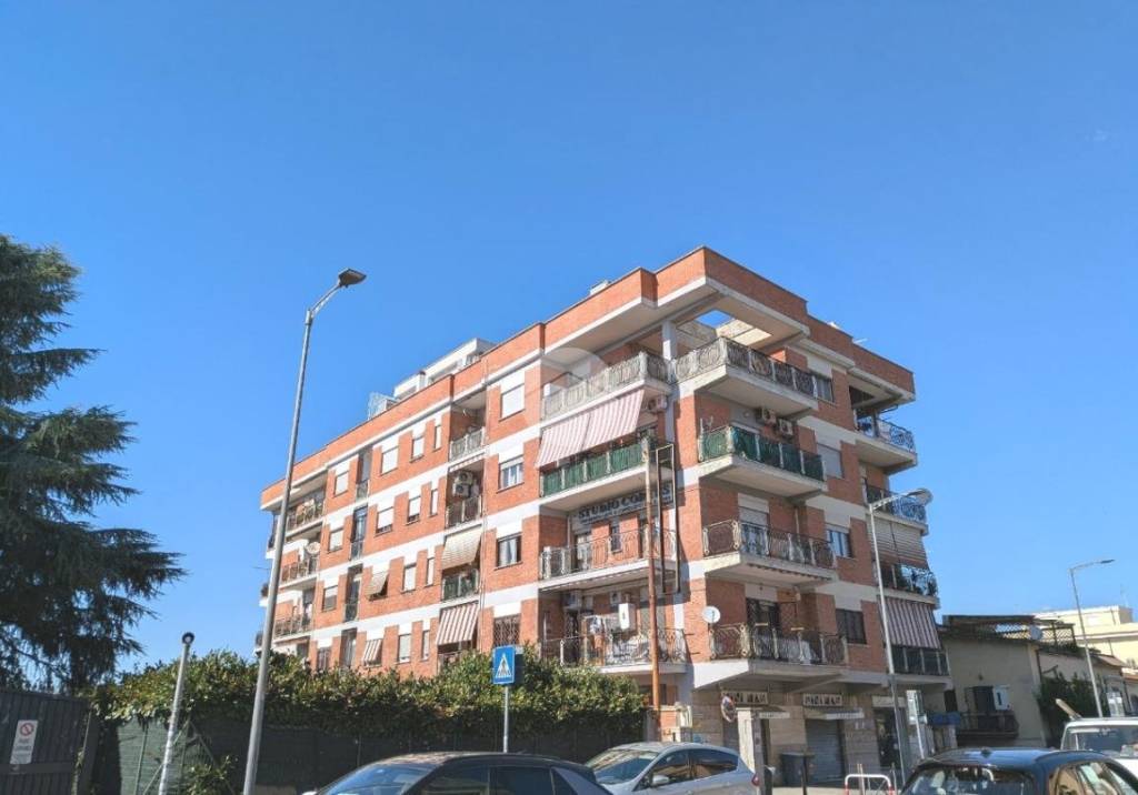 immagine annuncio 0 di 15