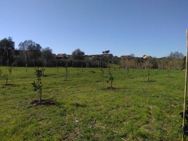 terreno in vendita a Ciampino in zona Acqua Sotterra