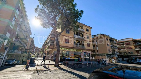 appartamento in vendita a Ciampino in zona Acqua Sotterra
